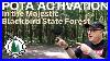 In_The_Majestic_Blackbird_State_Forest_01_am